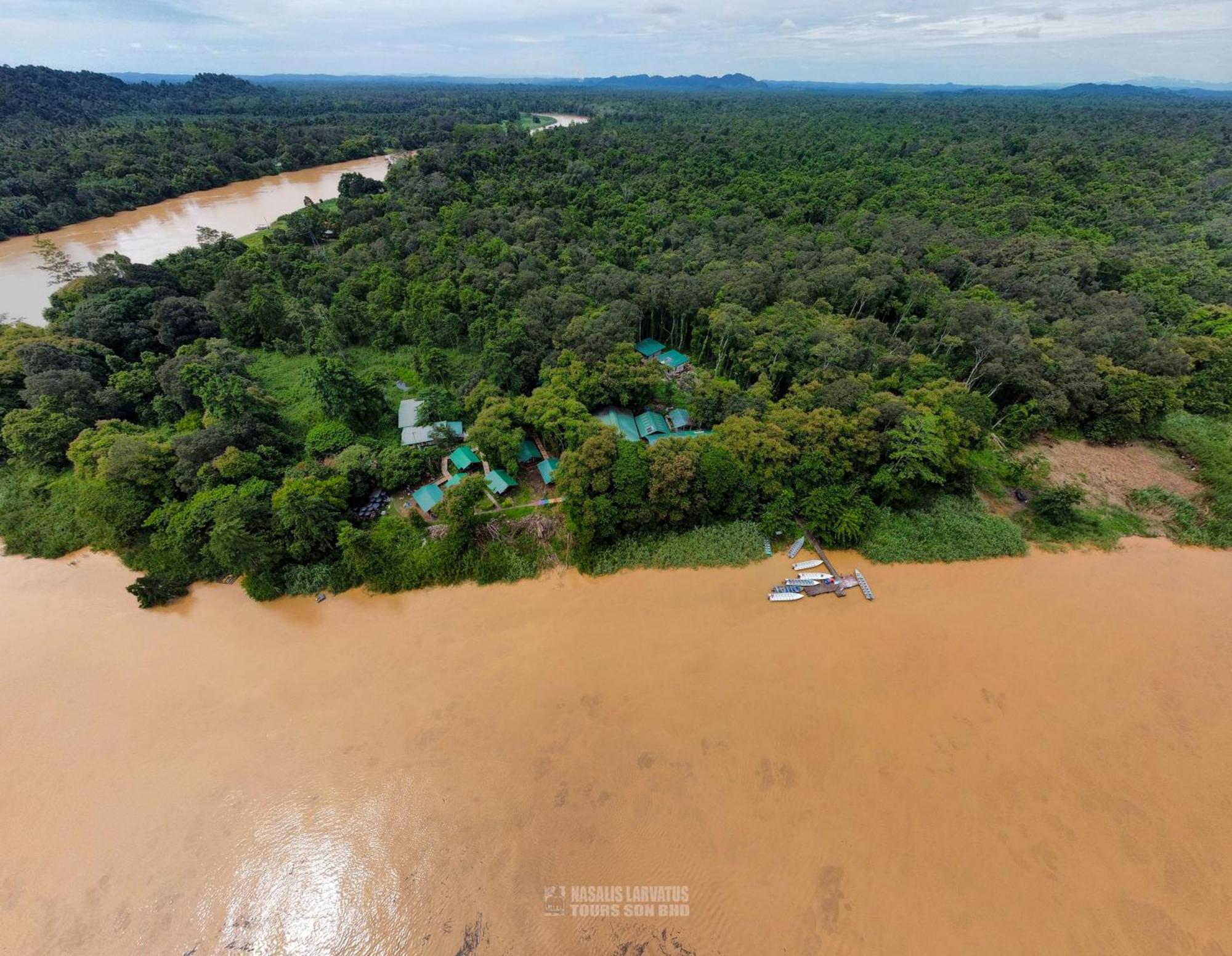 Tanini Kinabatangan Formerly Known As Nature Lodge Kinabatangan Bilit Exterior photo