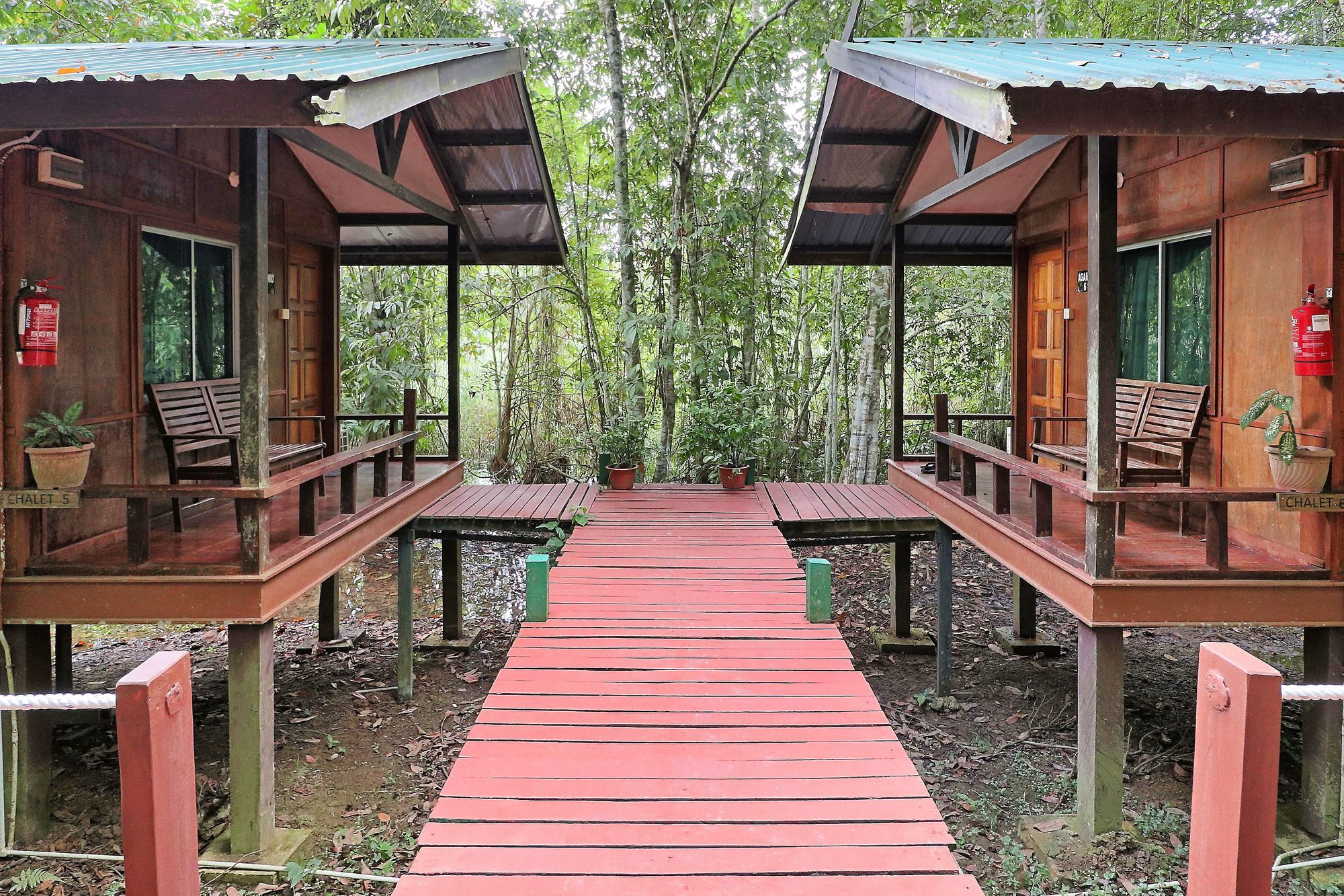 Tanini Kinabatangan Formerly Known As Nature Lodge Kinabatangan Bilit Exterior photo
