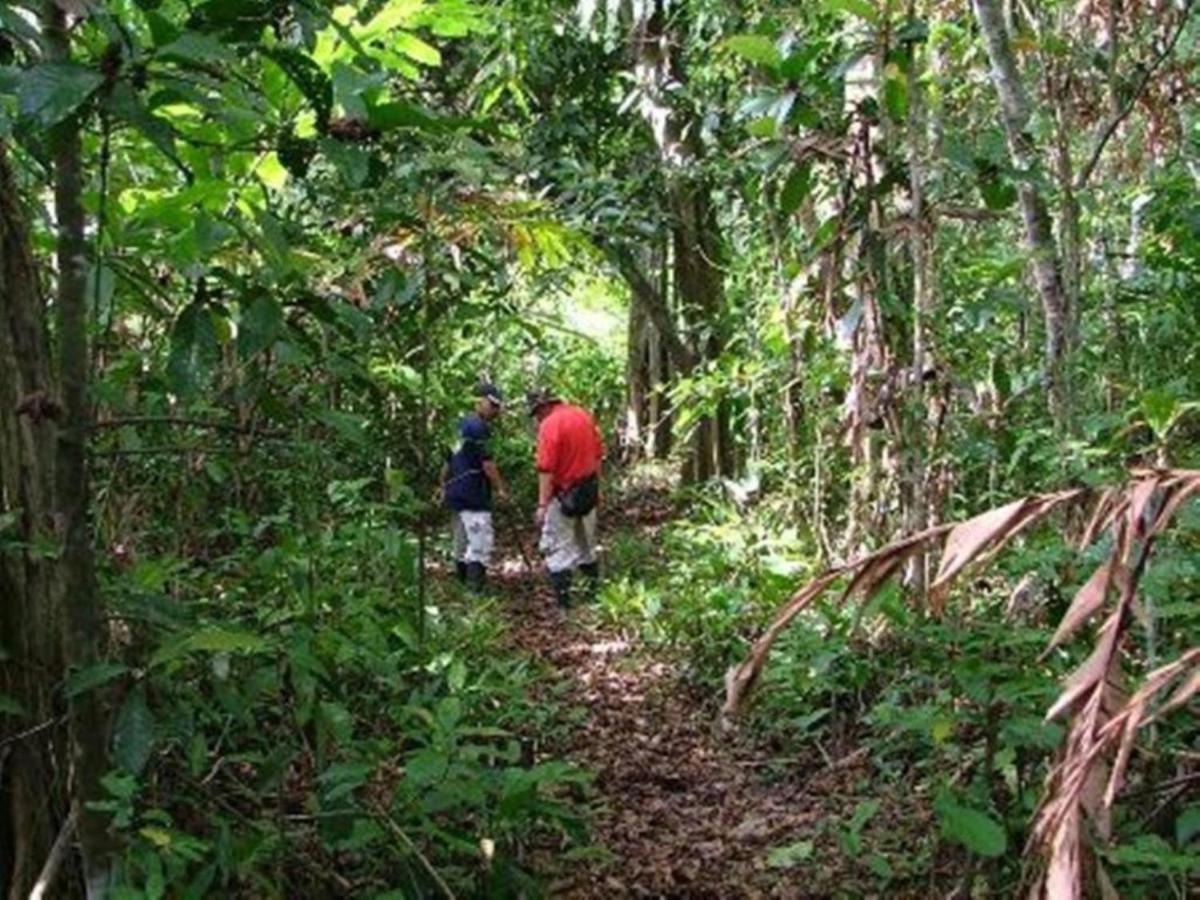Tanini Kinabatangan Formerly Known As Nature Lodge Kinabatangan Bilit Exterior photo